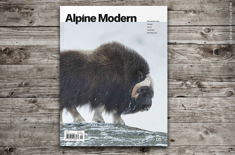 alpine modern magazine issue 05